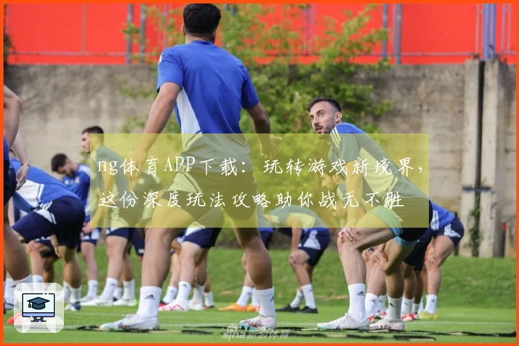 ng体育APP下载:玩转游戏新境界,这份深度玩法攻略助你战无不胜