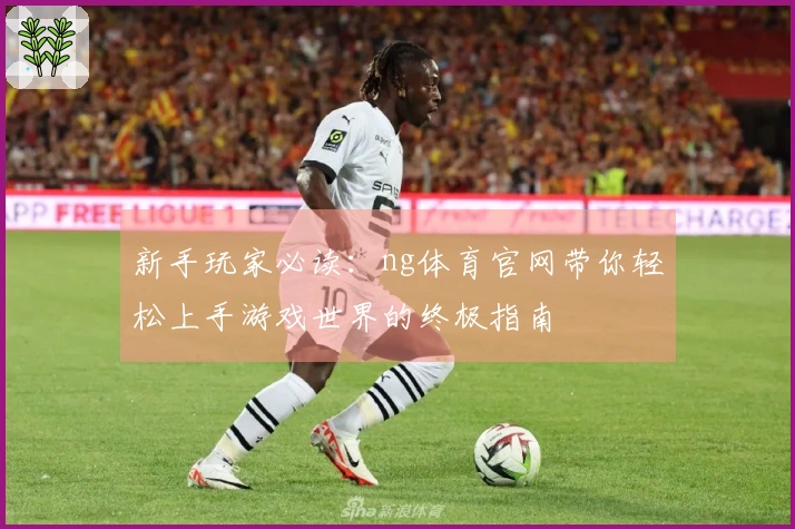 新手玩家必读：ng体育官网带你轻松上手游戏世界的终极指南