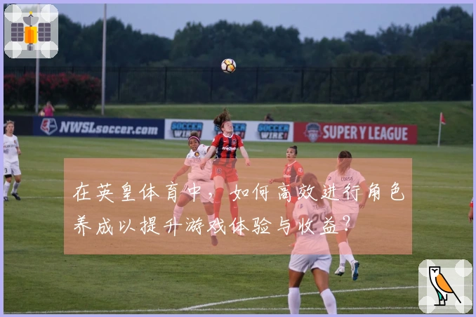 在英皇体育中，如何高效进行角色养成以提升游戏体验与收益？